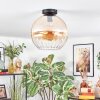 Koyoto Deckenleuchte Glas 30 cm Bernsteinfarben, Klar, 1-flammig