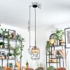 Koyoto Hängeleuchte Glas 20 cm Bernsteinfarben, Klar, 1-flammig