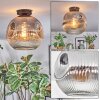Ripoll Deckenleuchte Glas 30 cm Klar, Rauchfarben, 1-flammig