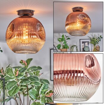 Ripoll Deckenleuchte Glas 30 cm Klar, Kupferfarben, 1-flammig