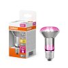 LED E27 7,5 Watt 1300 Kelvin 140 Lumen