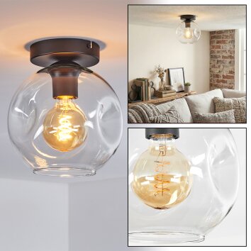 Ripoll Deckenleuchte Glas 20 cm Klar, 1-flammig