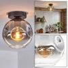 Ripoll Deckenleuchte Glas 20 cm Klar, Rauchfarben, 1-flammig