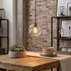 Ripoll Hängeleuchte Glas 20 cm Klar, 1-flammig