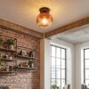 Ripoll Deckenleuchte Glas 20 cm Klar, Kupferfarben, 1-flammig