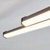 Fenol Deckenleuchte LED Schwarz, 1-flammig