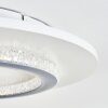 Lidor Deckenleuchte LED Grau, Weiß, 1-flammig