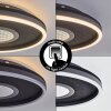 Halor Deckenleuchte LED Schwarz, 1-flammig