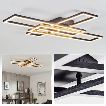 Hyacinthe Deckenleuchte LED Schwarz, 1-flammig
