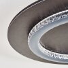 Lidor Deckenleuchte LED Anthrazit, Grau, 1-flammig
