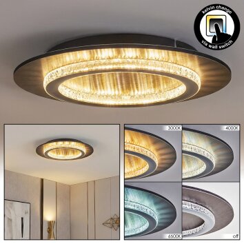 Lidor Deckenleuchte LED Anthrazit, Grau, 1-flammig