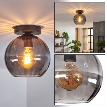 Koyoto Deckenleuchte Glas 20 cm Rauchfarben, 1-flammig