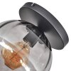 Koyoto Deckenleuchte Glas 25 cm Rauchfarben, 1-flammig