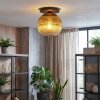 Koyoto Deckenleuchte Glas 25 cm Gold, Klar, 1-flammig