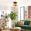 Ripoll Deckenleuchte Glas 25 cm Gold, Klar, 1-flammig