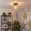 Koyoto Deckenleuchte Glas 25 cm Klar, 1-flammig