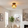 Koyoto Deckenleuchte Glas 30 cm Gold, Klar, 1-flammig