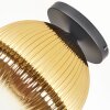 Koyoto Deckenleuchte Glas 30 cm Gold, Klar, 1-flammig