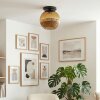 Koyoto Deckenleuchte Glas 30 cm Gold, 1-flammig