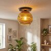 Ripoll Deckenleuchte Glas 25 cm Gold, 1-flammig