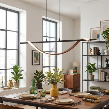 Solir Pendelleuchte LED Schwarz, 1-flammig