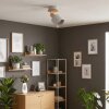 Olaris Deckenleuchte Chrom, Grau, Naturfarben, 1-flammig