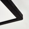 Zuren Deckenpanel LED Schwarz, 1-flammig