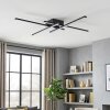Velon Deckenleuchte LED Schwarz, 1-flammig