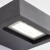 AEG Glynn Außenwandleuchte LED Anthrazit, 1-flammig