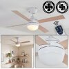Lenok Deckenventilator mit Beleuchtung LED Weiß, 1-flammig, Fernbedienung