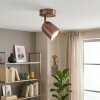 LED Deckenspot Lemak, moderner Dreh- und Schwenkkopf für Flur und Eingangsbereich