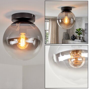 Gastor runde Deckenleuchte Kugel mit rauchfarbenem Glasschirm Ø 20 cm, E27