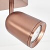LED Deckenspot Lemak mit zwei bronzefarbenen, dreh- und schwenkbaren Spotköpfen
