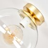 Moderne Kugelleuchte Gastor mit klarem Glasschirm, E27-Fassung, ø 25 cm