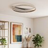 Calista runde LED Deckenleuchte flach aus goldfarbenem Metall, Ring-Design Ø 52 cm