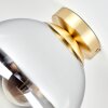 Moderne Kugelleuchte Gastor mit rauchfarbenem Glasschirm ø 25 cm in Chrom und Klar, E27
