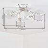 Chehalis Deckenleuchte mit Glaskugeln, 6-flammig, klare Glasschirme ø 12/15 cm