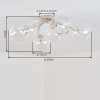 Moderne Kugelleuchte Chehalis mit geschwungener Cluster-Konstruktion, 6 klare Glasschirme