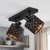 2-flammige Alsen Deckenleuchte mit drehbaren Spots, goldfarbener Metallschirm