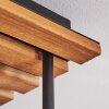 Koyoto 4-flammige Deckenleuchte aus Tannenholz mit Rauchglas-Kugelschirmen