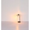 NOWA Jack Tischlampe aus Metall mit rauchfarbenem Glasschirm, E14-Fassung, 40 Watt