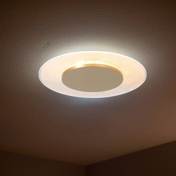 Steinhauer Lido LED Deckenlampe Gold dimmbar 2700 K 1100 lm 12 W modern