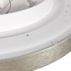 Steinhauer Flady silberne moderne LED Deckenleuchte 2-flammig 2700K 4600lm 40W