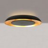 Steinhauer LED Deckenleuchte Golden Veil, runde Bauform, 2700 Kelvin warmweiß