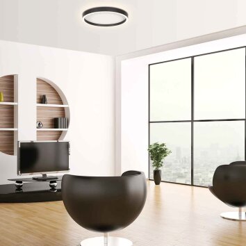 Steinhauer Ringlux dimmbare LED Deckenleuchte 3600 Lumen 2700 Kelvin 30 Watt Ø 40 cm
