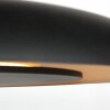 Steinhauer Golden Veil LED-Deckenleuchte modern rund 2-flammig dimmbar IP20