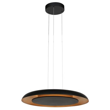 Steinhauer Golden Veil LED-Deckenleuchte modern rund 2-flammig dimmbar IP20