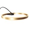 Steinhauer Ringlux goldfarbene LED Bogen-Stehlampe mit Ring, 4000 Lumen, 20 W
