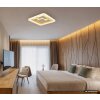 Globo Loraine gold-weiße quadratische LED-Deckenleuchte mit Acrylglas 3000 K 4300 lm 40 W