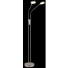 Globo Silvio LED Stehlampe 2-flammig nickel-matt mit weißen Acrylglasschirmen